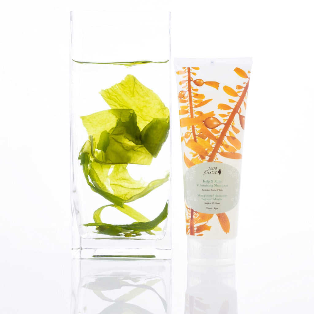 100% PURE Kelp & Mint Volumizing Shampoo – Purifying Hydration & Deep Detox, Sulfate Free