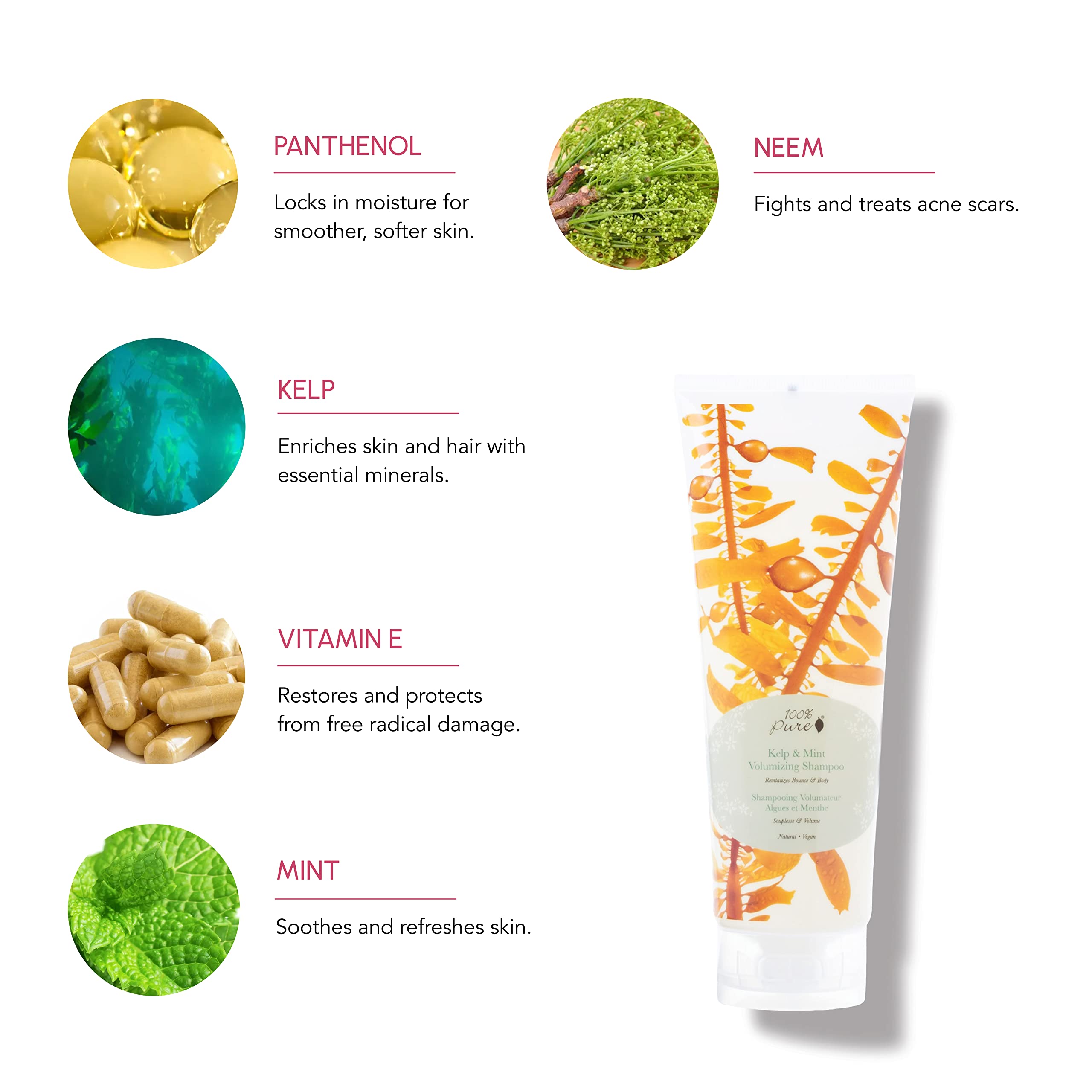 100% PURE Kelp & Mint Volumizing Shampoo – Purifying Hydration & Deep Detox, Sulfate Free