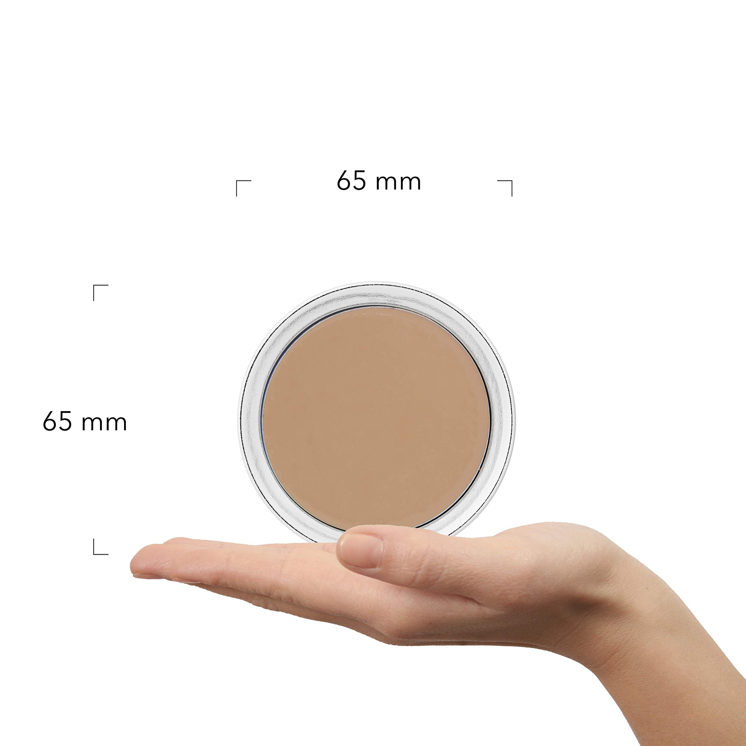 100% PURE Alpine Rose Cream Foundation Concealer – Buildable Matte Coverage for Dry Skin (Fair Cool) – 0.32 oz