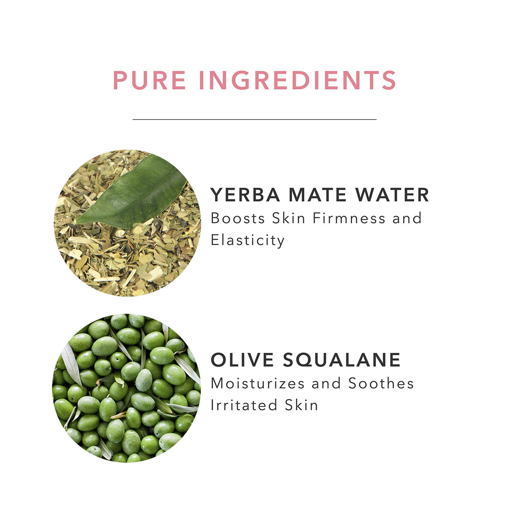 100% PURE Green Tea EGCG Concentrate Face Cream — Lightweight Hydrating Anti-Aging Moisturizer (1.4 oz)