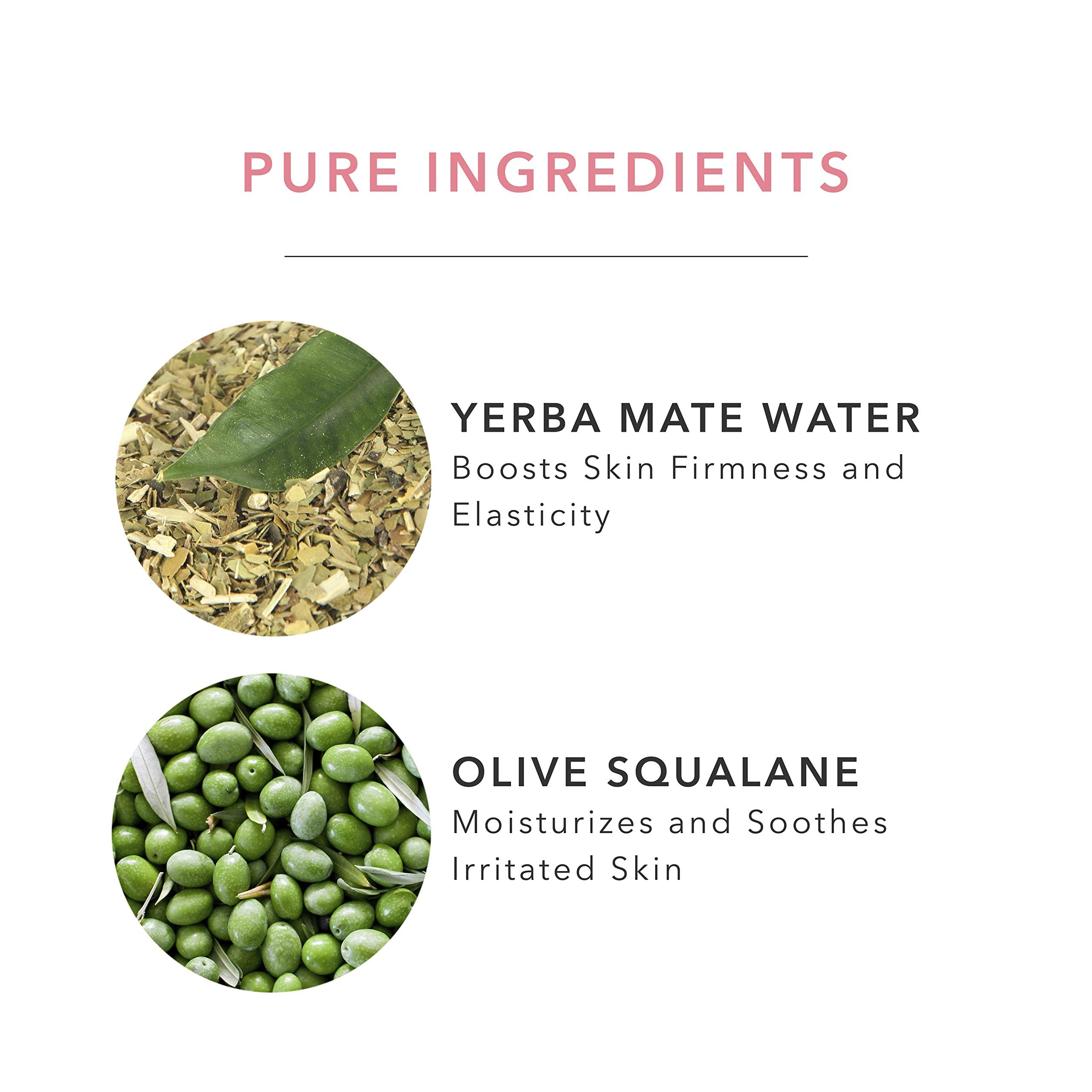 100% PURE Green Tea EGCG Concentrate Face Cream — Lightweight Hydrating Anti-Aging Moisturizer (1.4 oz)