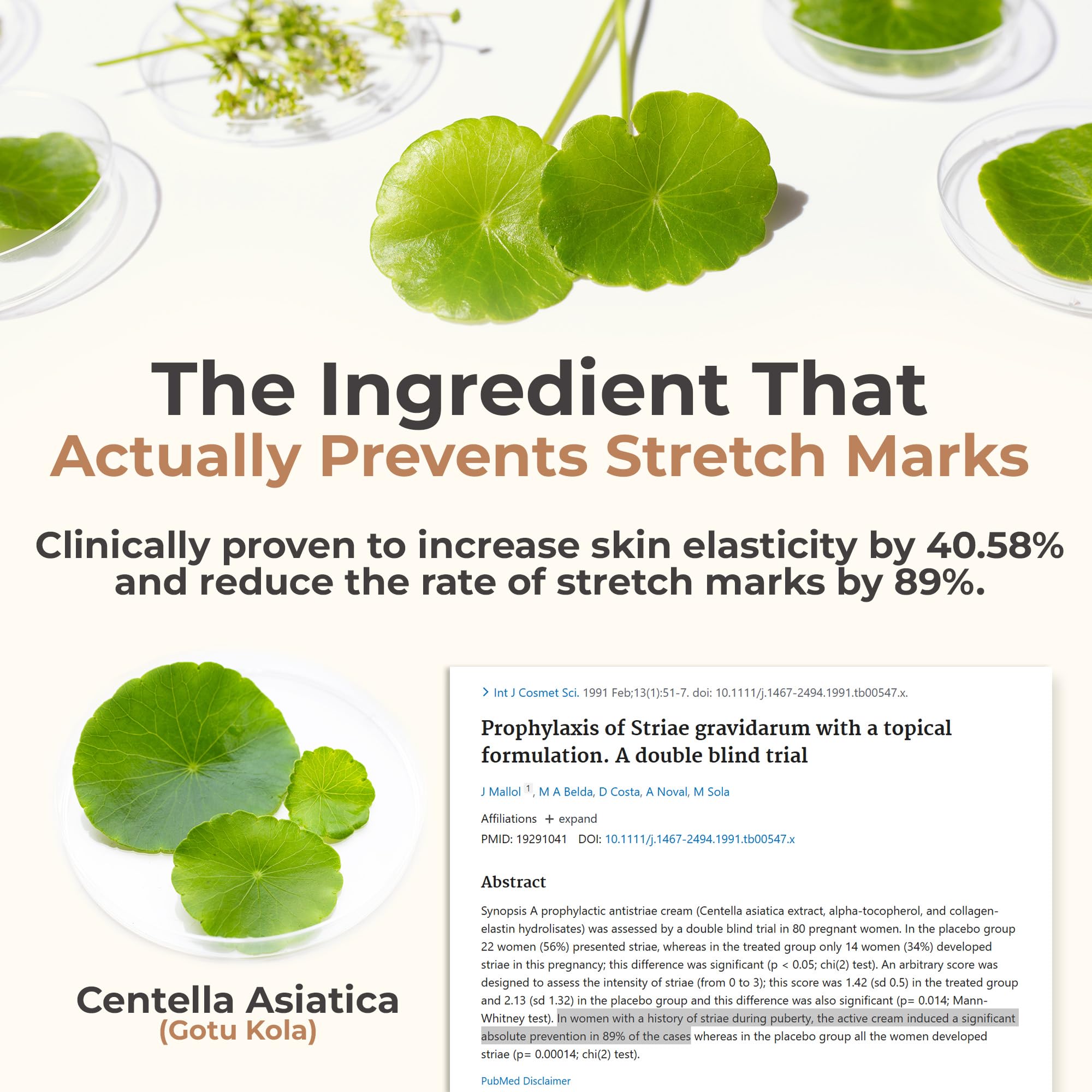 8 Sheep True Belly Serum – Pregnancy-Safe Skin Care with Centella & Hyaluronic Acid