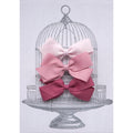 Medium Clip Gift Set Pinks
