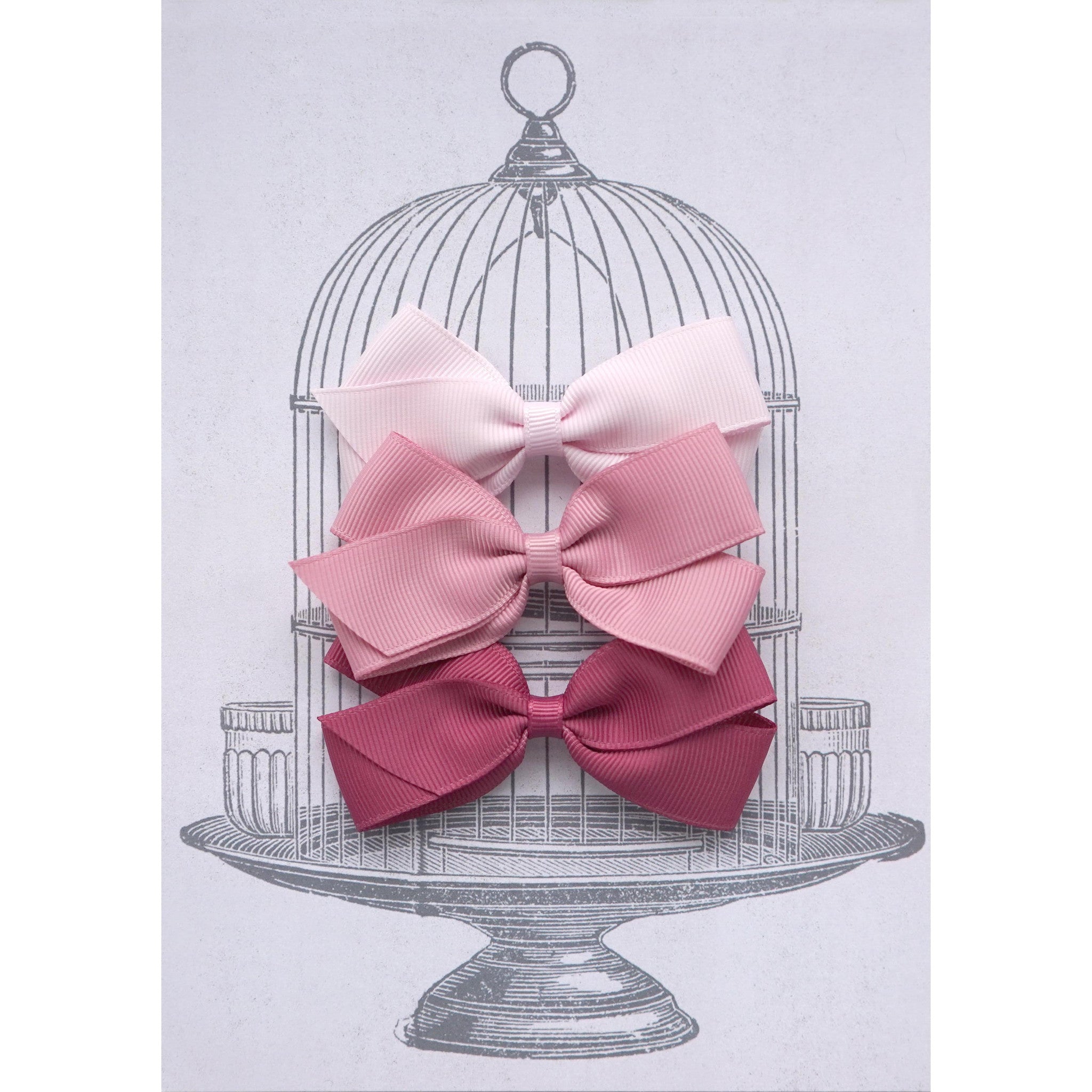 Medium Clip Gift Set Pinks