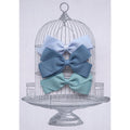 Medium Clip Gift Set Blues
