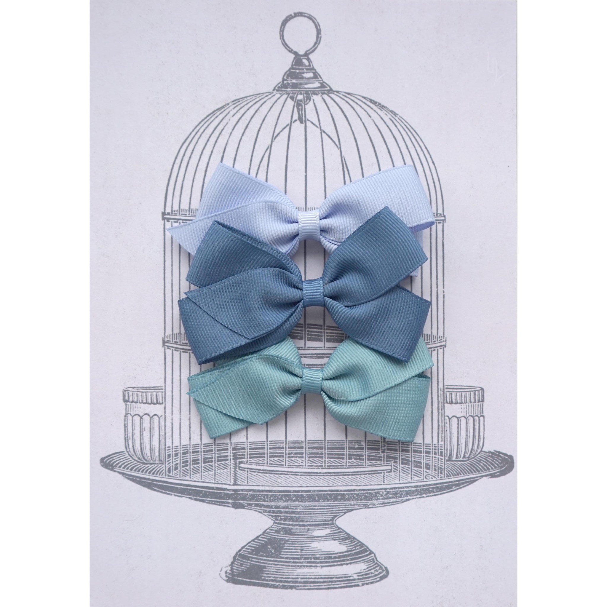 Medium Clip Gift Set Blues