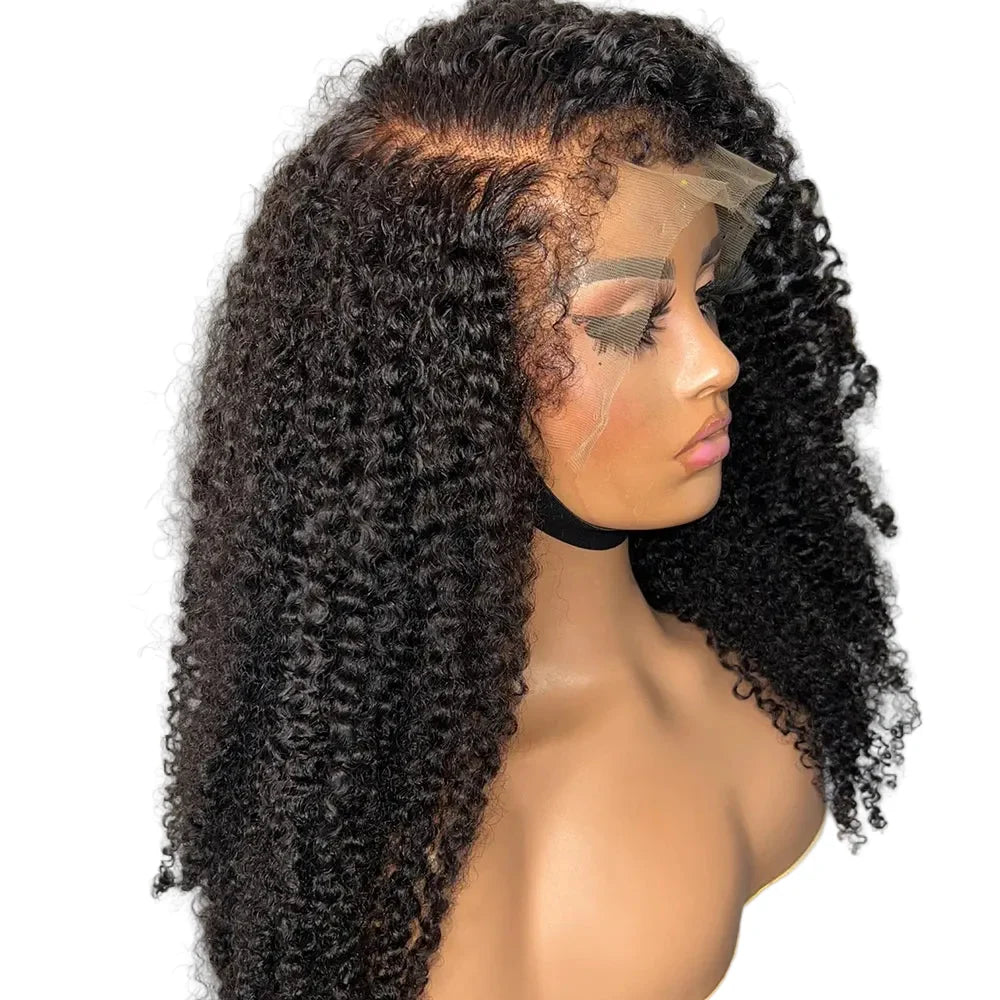 Afro Kinky Full Lace Wig