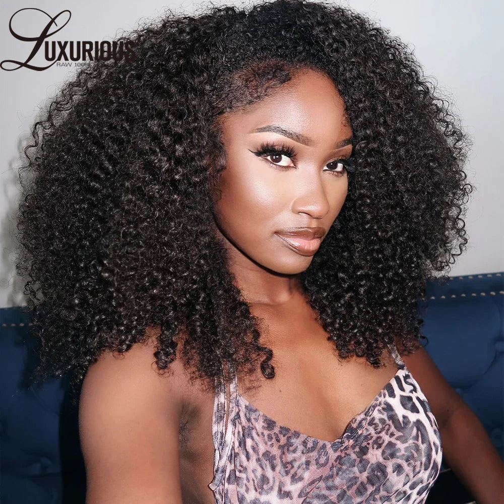 Afro Kinky Full Lace Wig