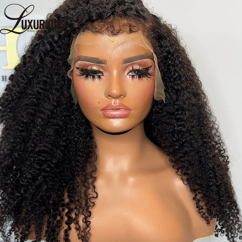 Afro Kinky Full Lace Wig