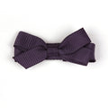 Small Amethyst Hair Clip