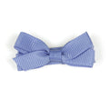 Small Wisteria Hair Clip