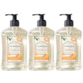 A LA MAISON Citrus Blossom French Liquid Hand Soap – 16.9 oz, 3 Pack | Alcohol & Paraben Free, Plant-Based