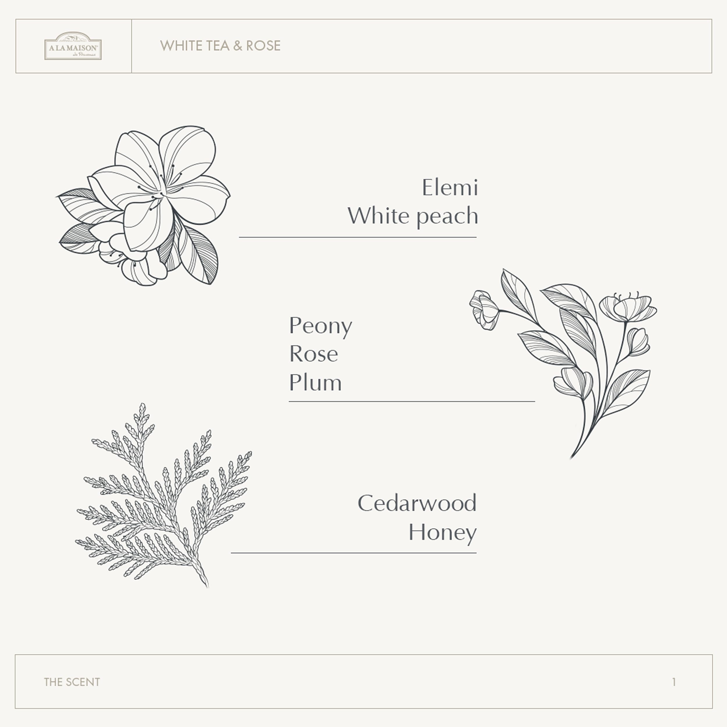A LA MAISON Cleansing Shower Oil – White Tea & Rose | Hydrating, Oil-to-Lather Cleanser