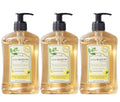 A LA MAISON Provence Lemon Hand Soap 16.9 fl oz (3 Pack) – Natural, Plant-Based, Vegan, Biodegradable