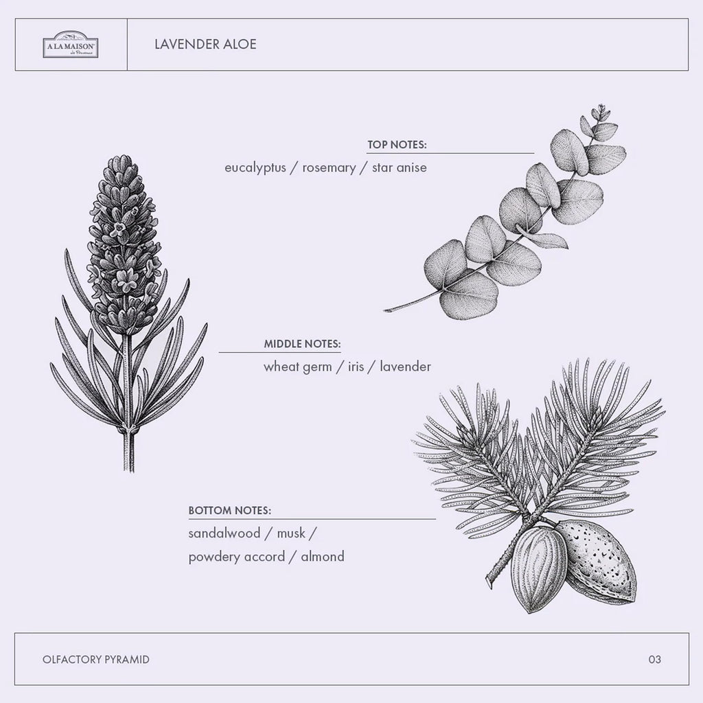 A LA MAISON Lavender Aloe Refill – French Liquid Hand Soap (Vegan, Cruelty-Free)