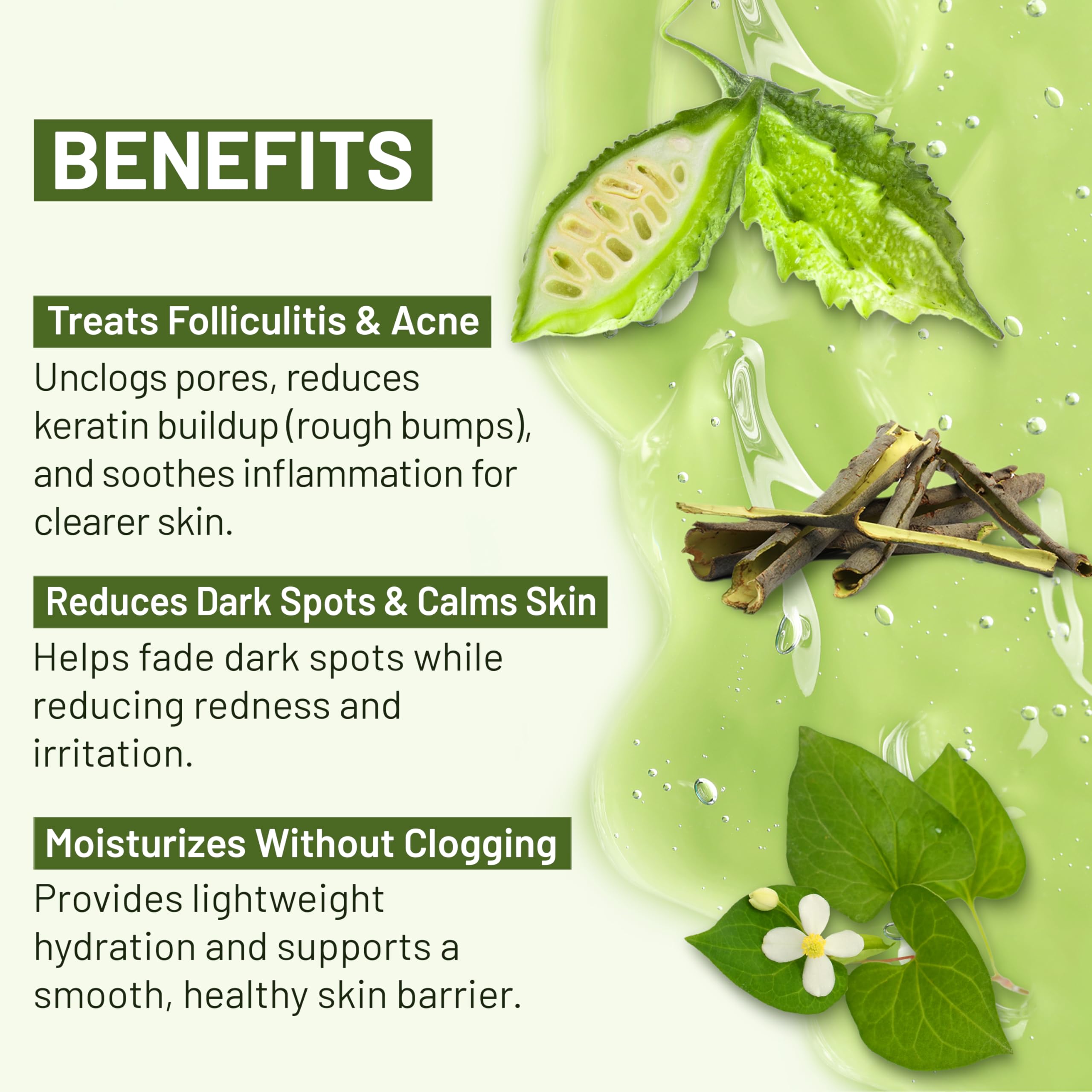 ABERA Folliculitis Body Wash with Wild Bitter Melon & Tea Tree – 10.14 oz