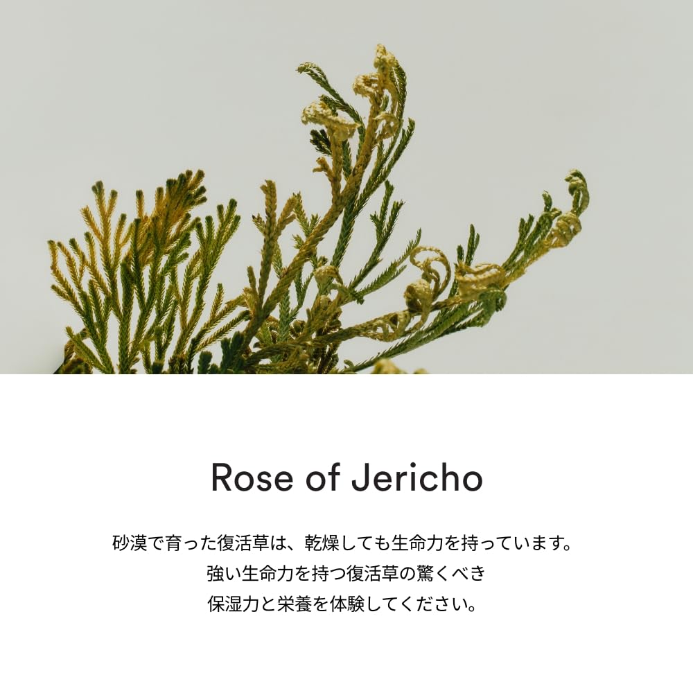 Abib Jericho Rose PHA Toner Skin Booster – Rose of Jericho Extract, Hydration & Texture | 200 ml