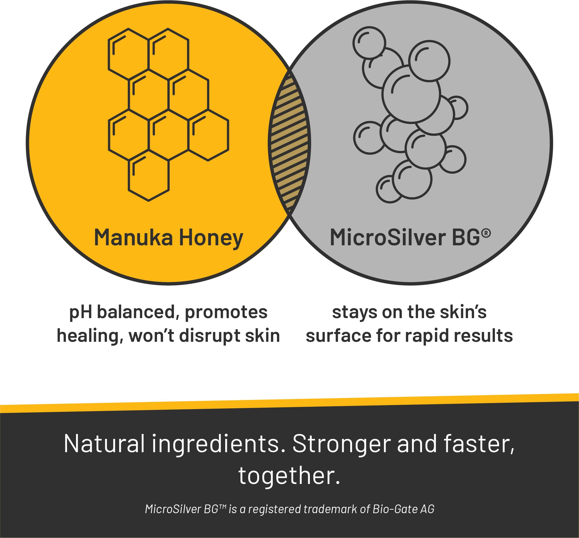 Absorbine Silver Honey Rapid Skin Relief Medicated Shampoo – Vet-Developed, Manuka Honey & MicroSilver BG, 16 fl oz