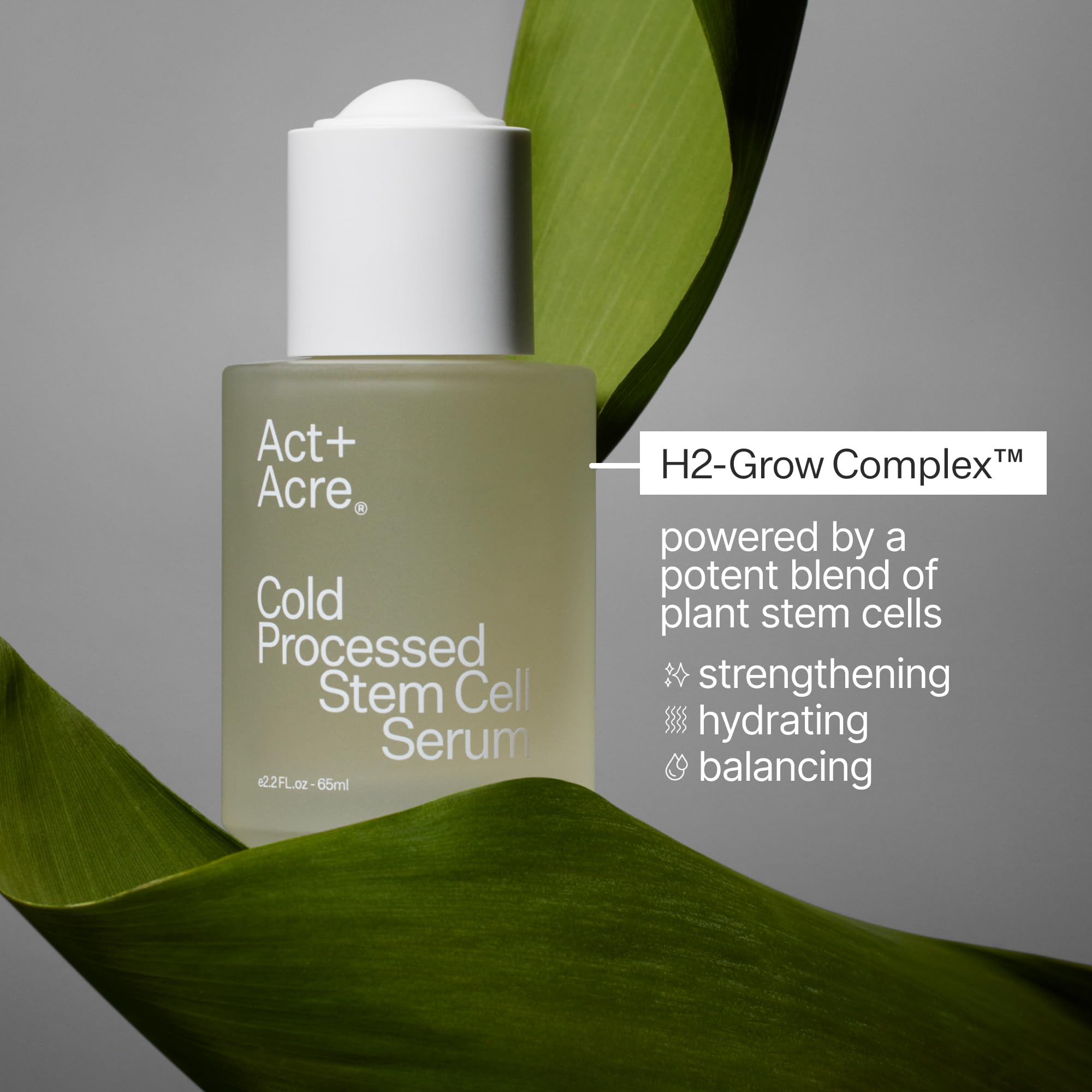Act+Acre 3-Pack Mini Cold Processed Stem Cell Scalp Serum – Thicker, Fuller-Looking Hair