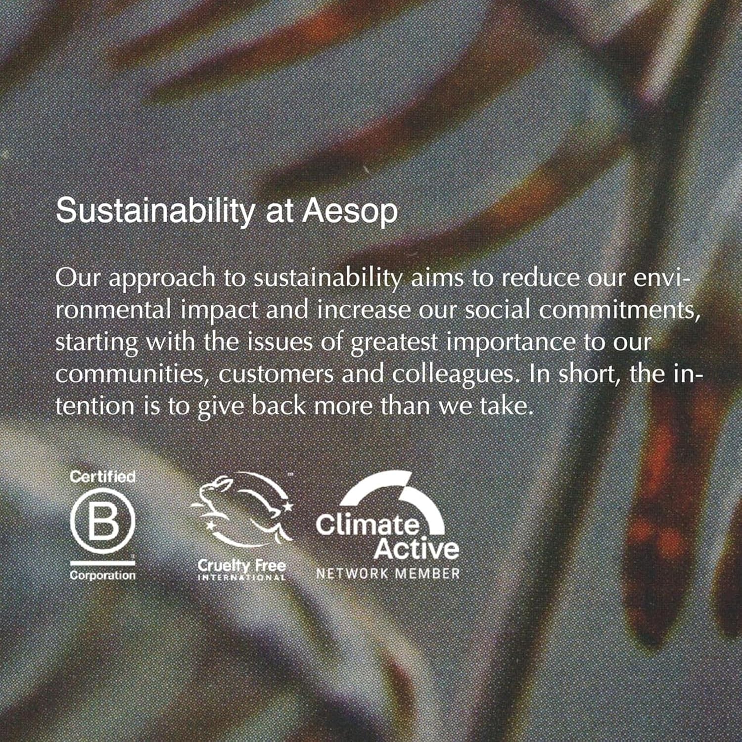 Aesop Polish Bar Soap | Exfoliating Pumice & Botanical Oils | Non-Drying Cleansing Bar | 5.2 oz Pack of 2