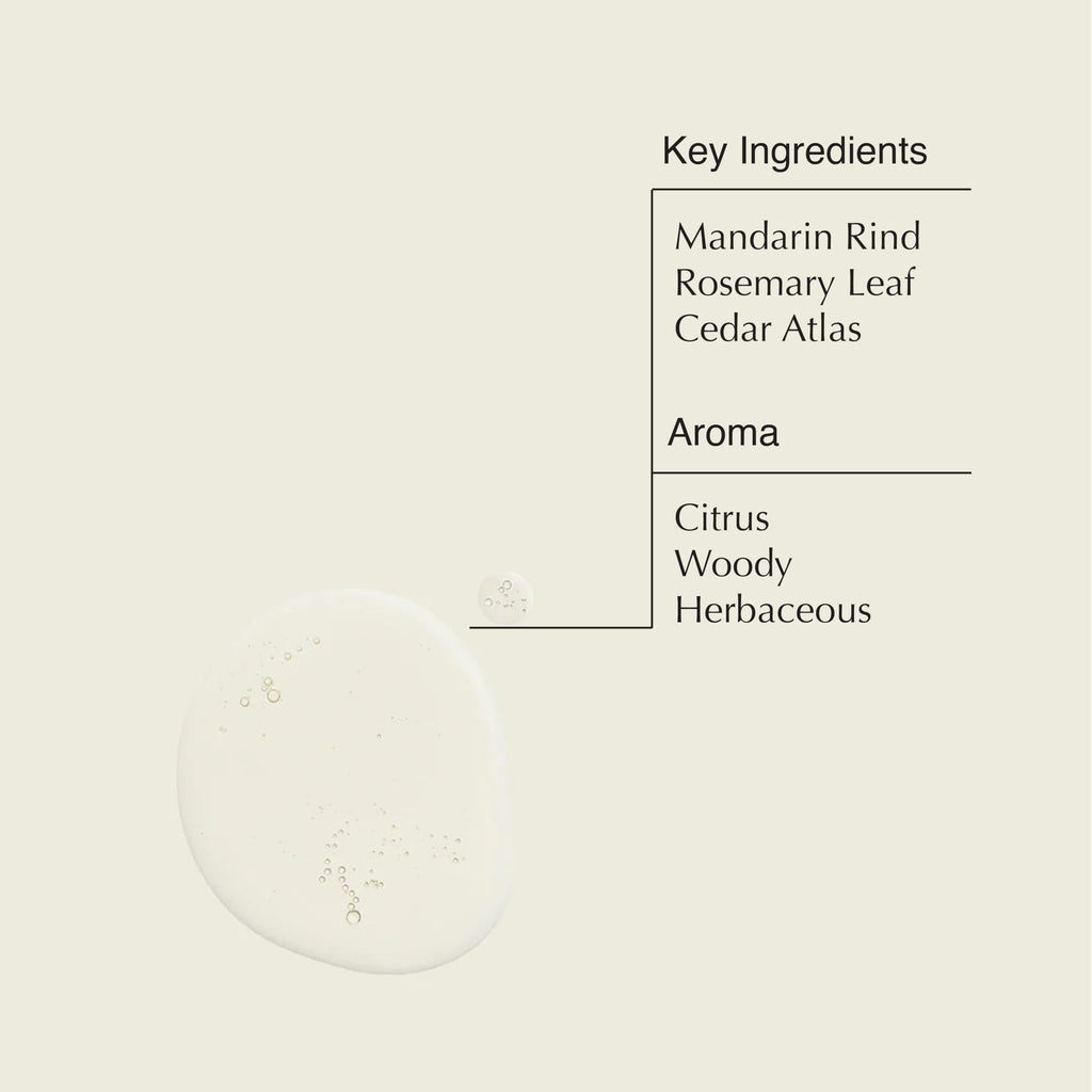 Aesop Resurrection Aromatique Hand Wash | Hydrating Citrus & Herbaceous Cleanser – 3 × 500mL