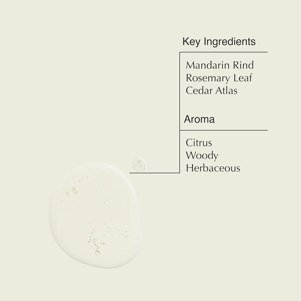Aesop Resurrection Aromatique Hand Wash & Refill — Gentle Non-Drying Gel with Orange, Rosemary & Lavender Oils | 16.9oz x2