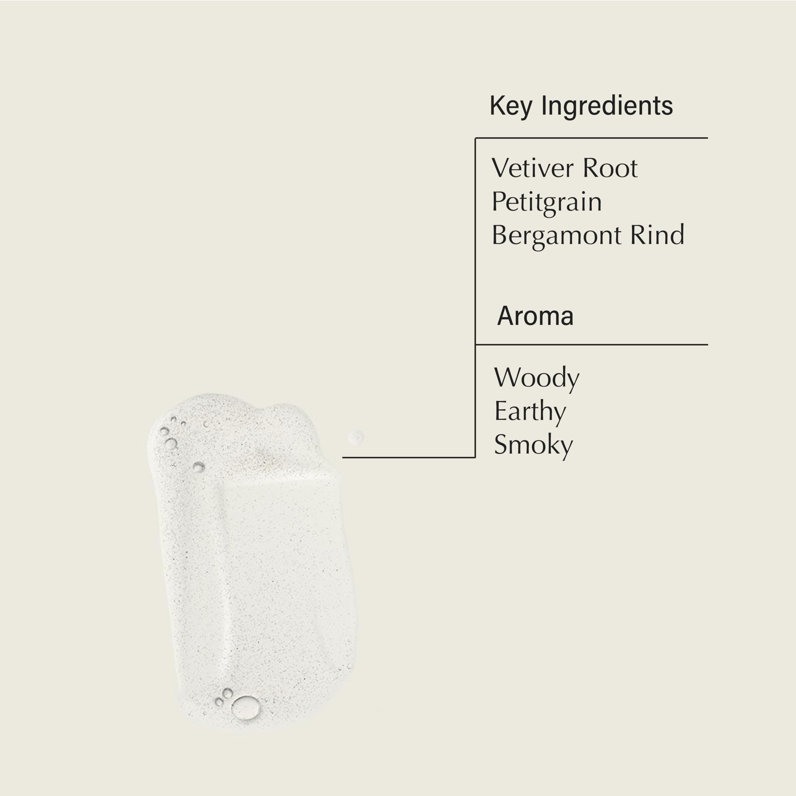 Aesop Reverence Aromatique Hand Wash | Exfoliating Cleanser, Woody & Smoky | Pack of 3 (500 mL each)