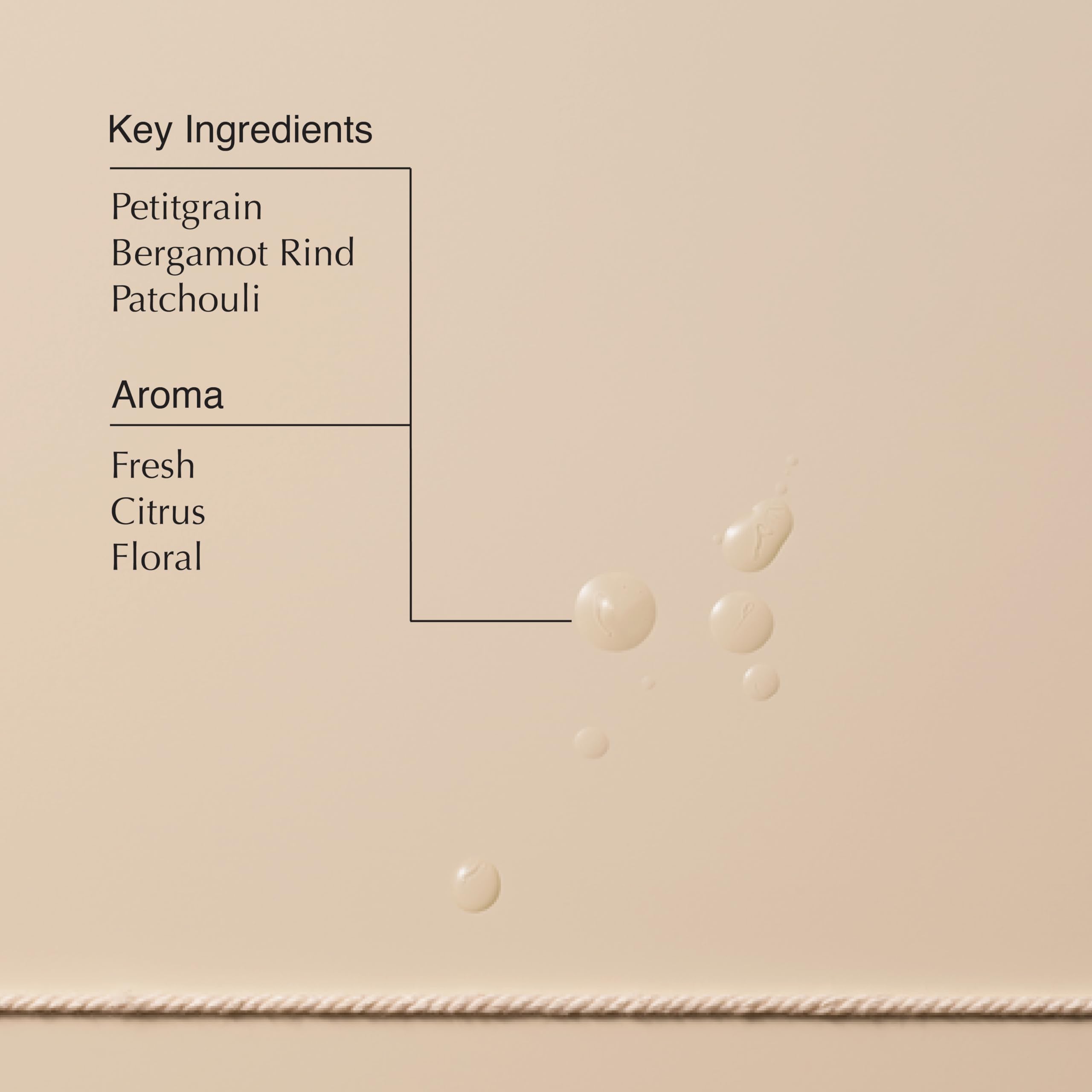 Aesop Tame Hair Serum | Smooth Flyaways & Frizz — Lightweight, Non-Sticky Formula | 2 oz / 60 mL