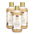 African Pride Moisture Miracle Honey & Coconut Oil Shampoo – For Natural Coils & Curls, Sulfate Free, Color Safe, 12 oz (3 Pack)