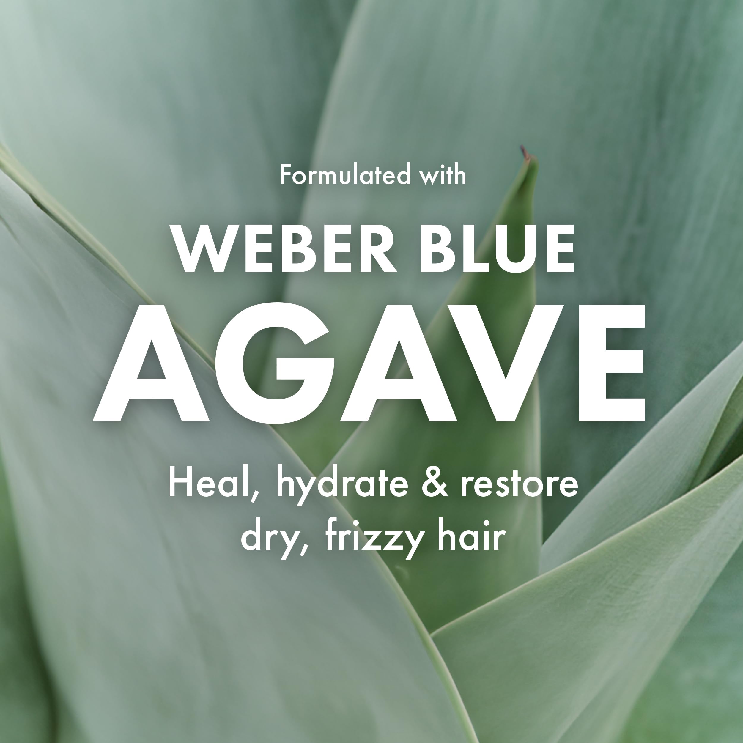 Agave Clarifying Shampoo: Deep Cleansing, Hydration & Sulfate-Free Formula | 33.8 fl oz