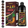 Agthyuve Hair Dye Shampoo 3 in 1 Coffee – Semi-Permanent Color, Safe & Easy