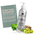 Ahimsa Gentle Purifying Shampoo – Oily Hair Clarifying Cleanser