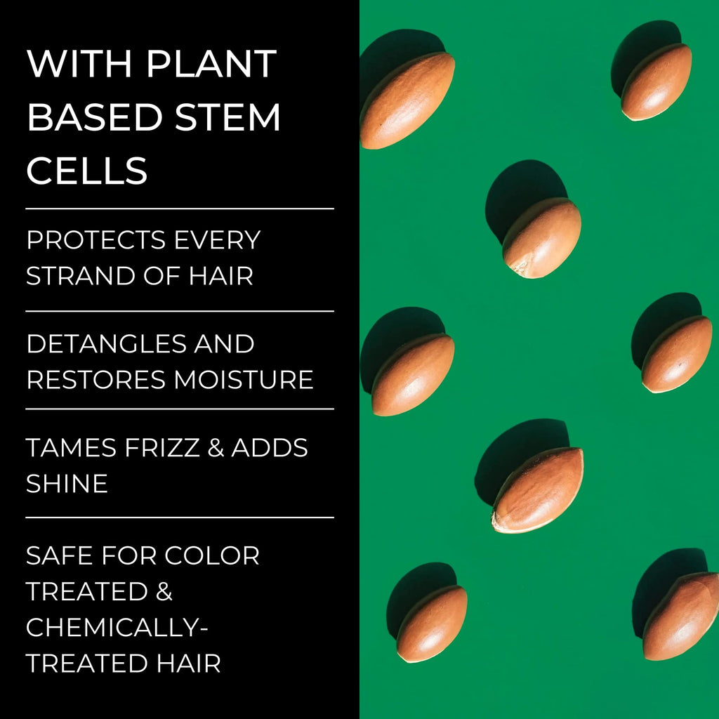 Alevai Stem+ Conditioner | Oily & Dry Scalp Treatment, Sulfate-Free & Vegan