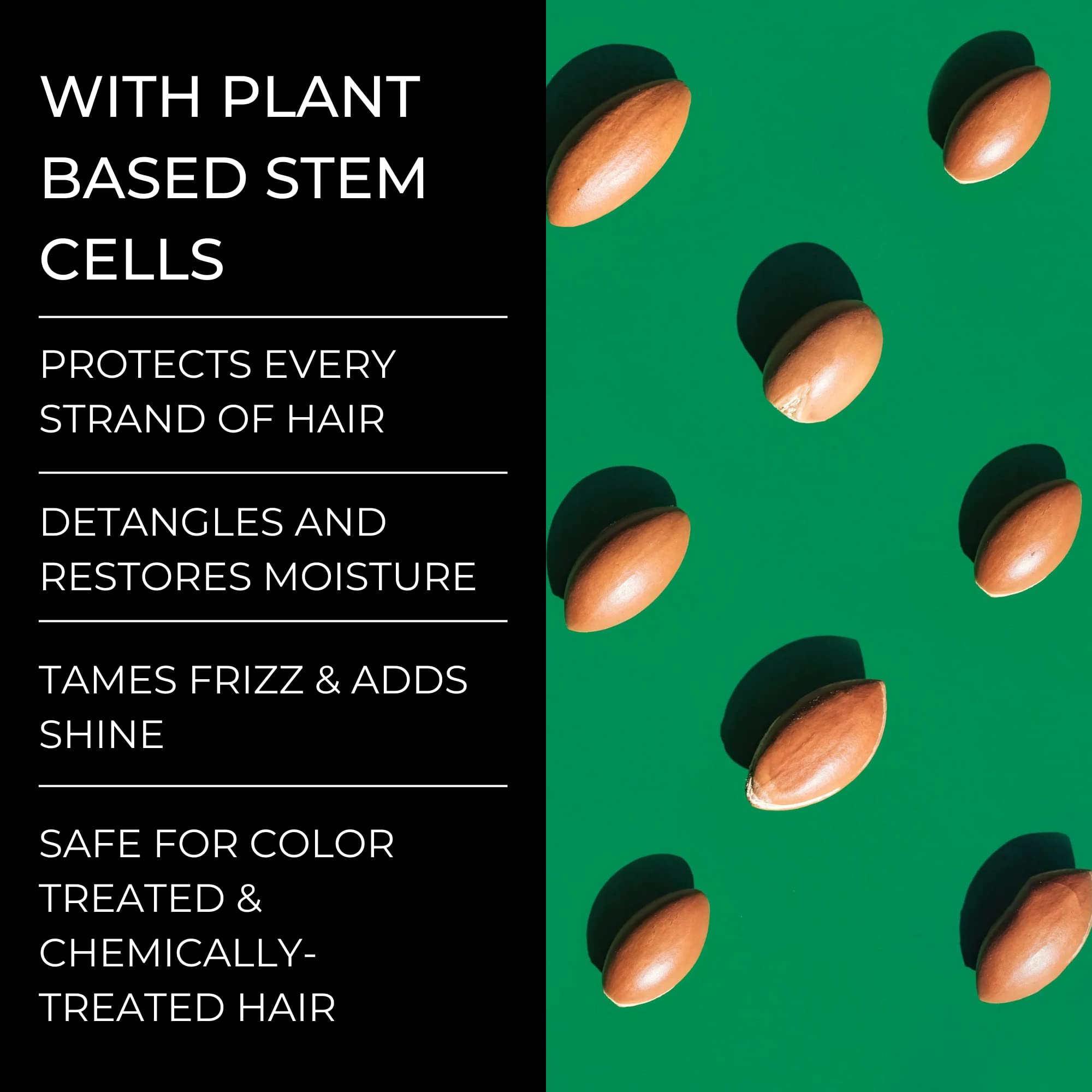 Alevai Stem+ Conditioner | Oily & Dry Scalp Treatment, Sulfate-Free & Vegan