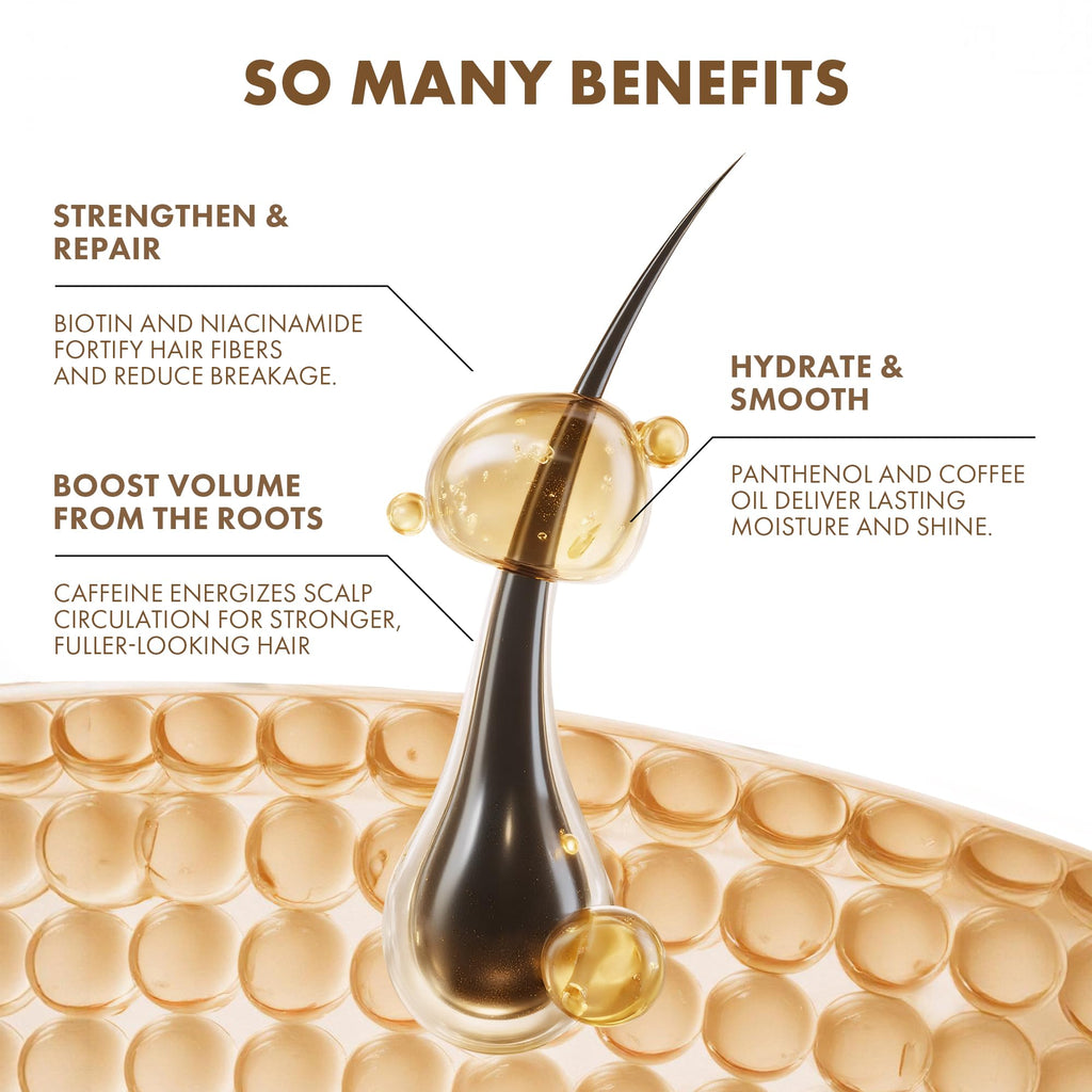 ALFHEIM Coffee+ Thickening Shampoo for Fine, Thin & Weak Hair – Caffeine, Biotin & Arabica Coffee Oil, 1000 ml