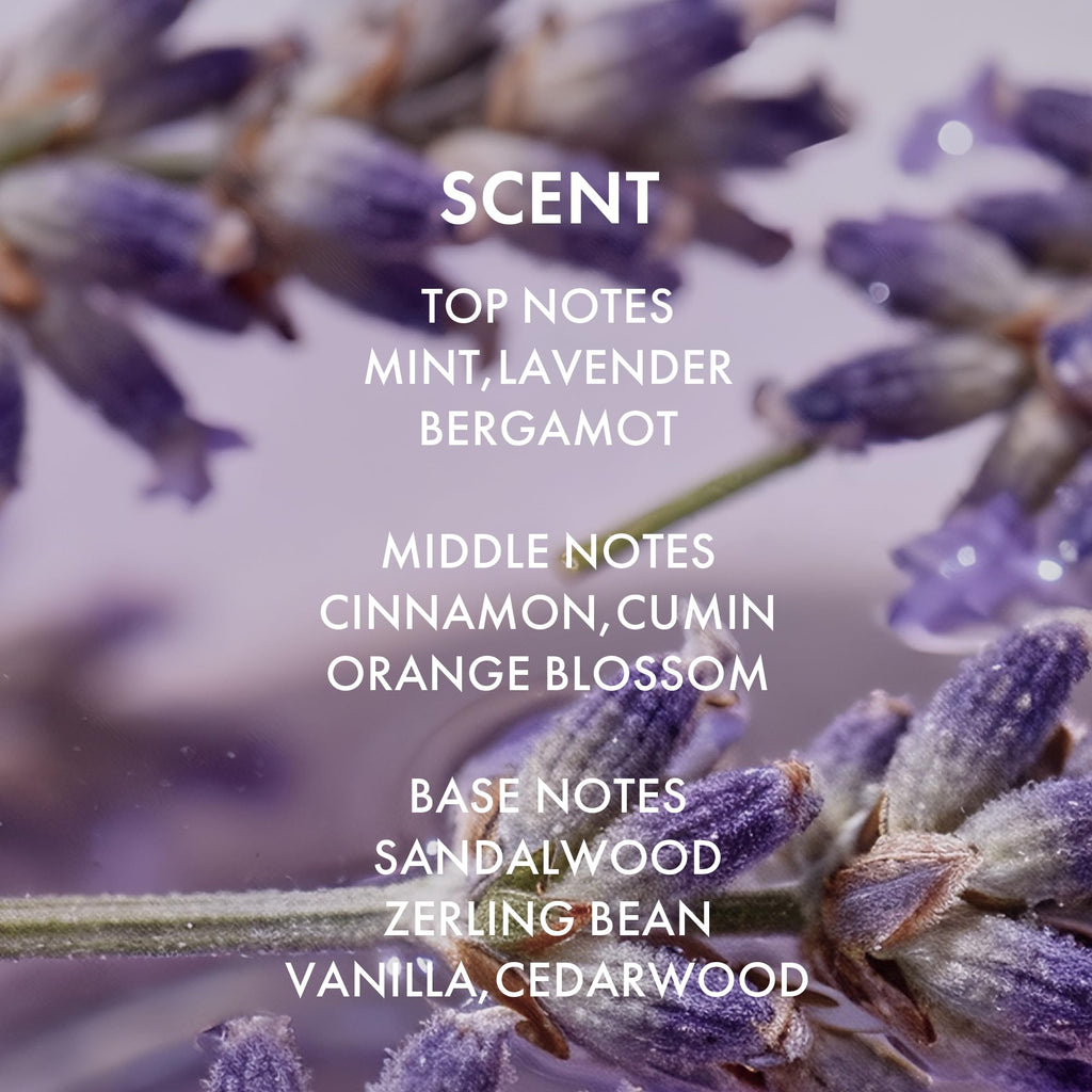 ALFHEIM Lavender+ Purple Shampoo & Conditioner for Blonde & Silver Hair