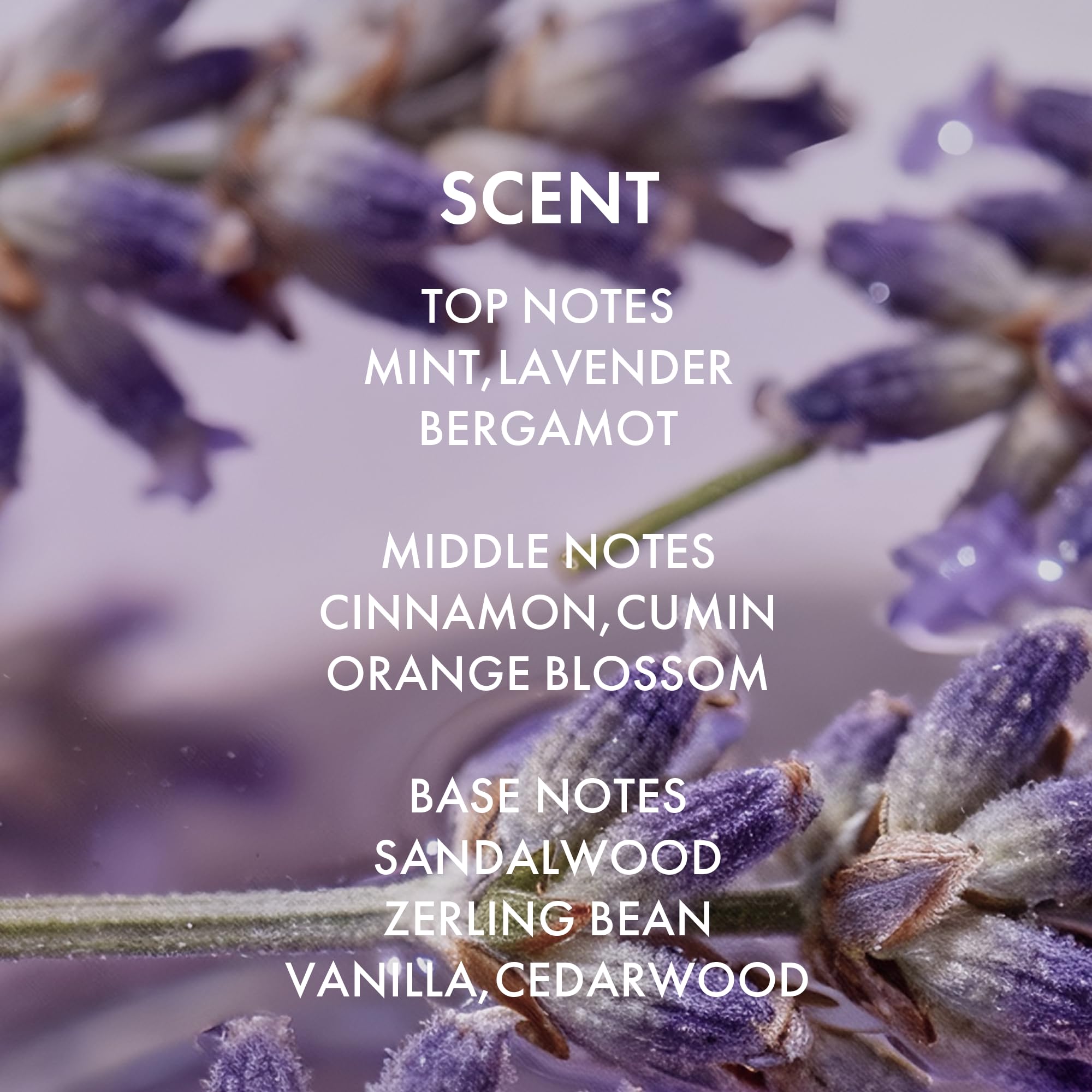 ALFHEIM Lavender+ Purple Shampoo & Conditioner for Blonde & Silver Hair