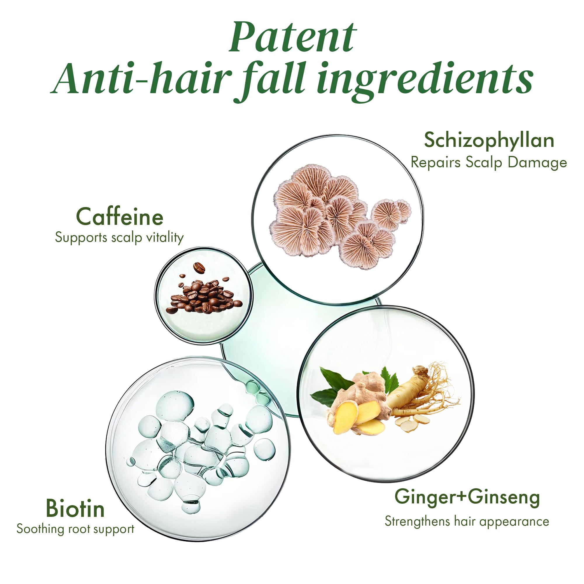 ALFHEIM Saw Palmetto Scalp Serum – Caffeine & Biotin for Thicker Hair | 1.69 fl oz + Serum Applicator