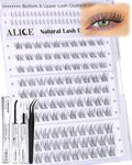 ALICE Short Lash Clusters Kit 8–12mm | Clear Band, DIY Wispy Lashes at Home