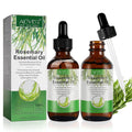 ALIVER Pure Rosemary Essential Oil – 2-Pack for Hair & Scalp Care | 2.02 Fl Oz