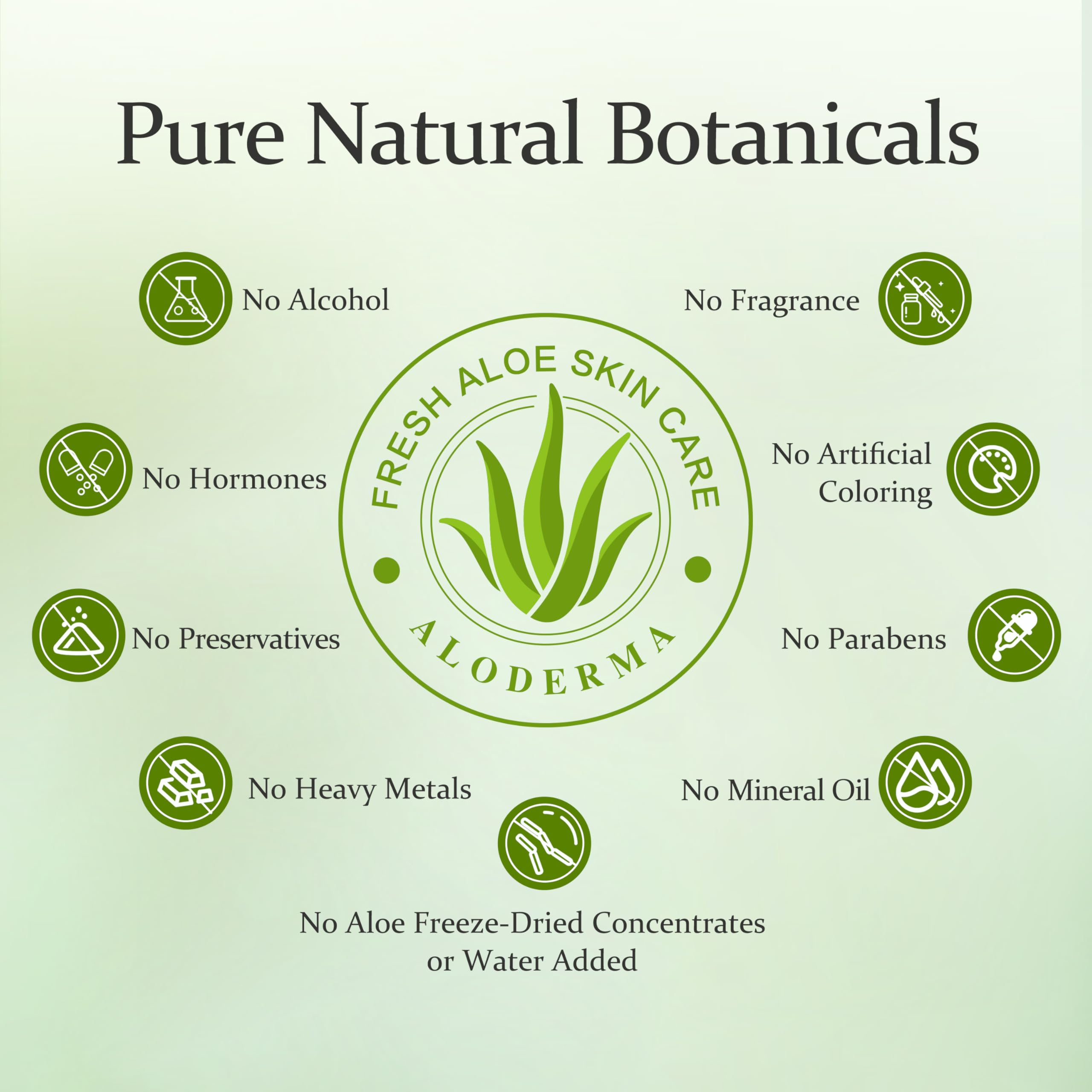 Aloderma Aloe Nourishing Hair Conditioner 16oz – Fresh Organic Aloe Vera + Crambe Seed Oil