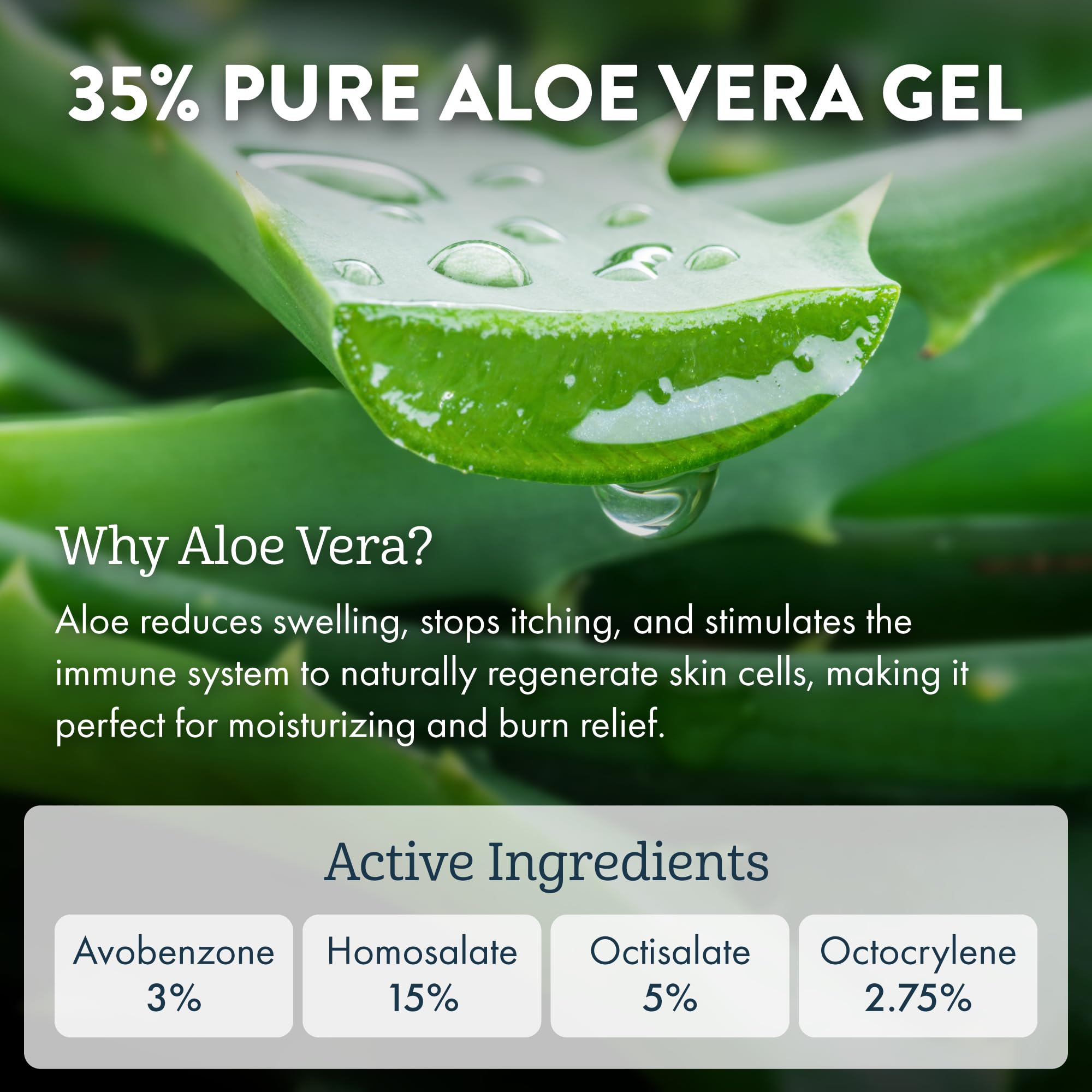 ALOE UP Kids SPF 50 Continuous Sport Sunscreen Spray – Broad Spectrum, Fragrance-Free, Reef-Safe