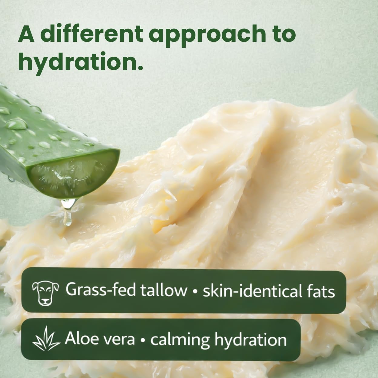AloeTallow Daily Body Lotion – Deep Hydration with Grass-Fed Tallow & Aloe Vera