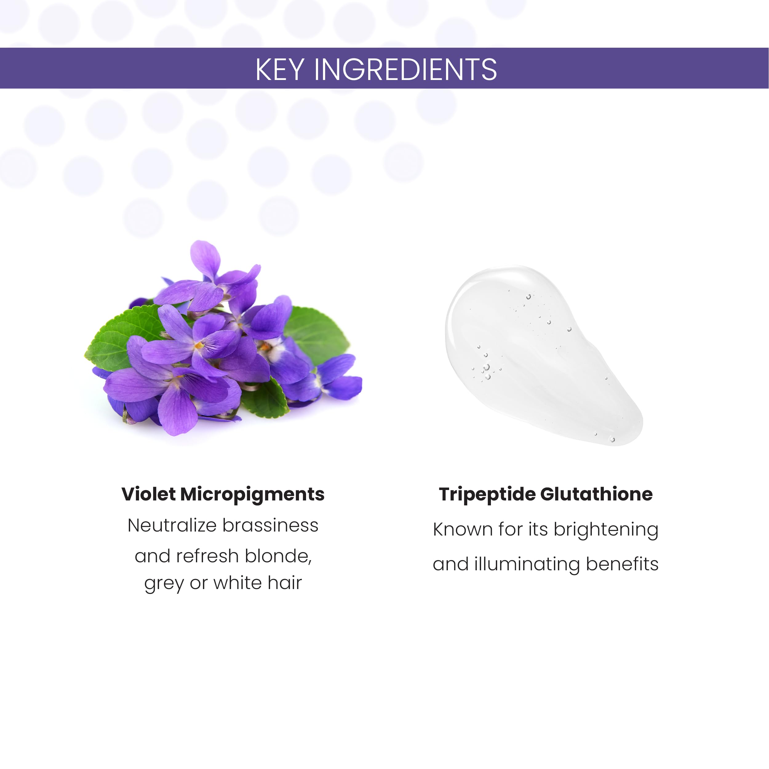 ALOXXI Violet Shampoo for Blonde & Silver Hair – Neutralizes Brassiness & Brightens Tones