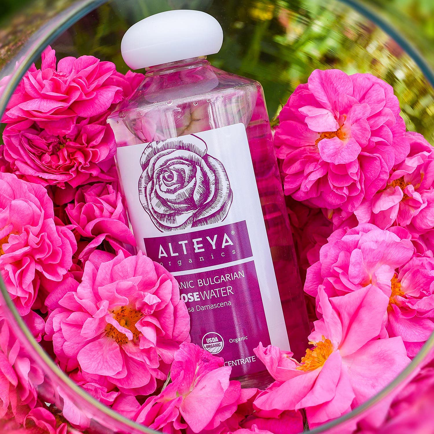 Alteya Organics Rose Water Toner 17oz | USDA Organic Bulgarian Rosa Damascena Hydrosol