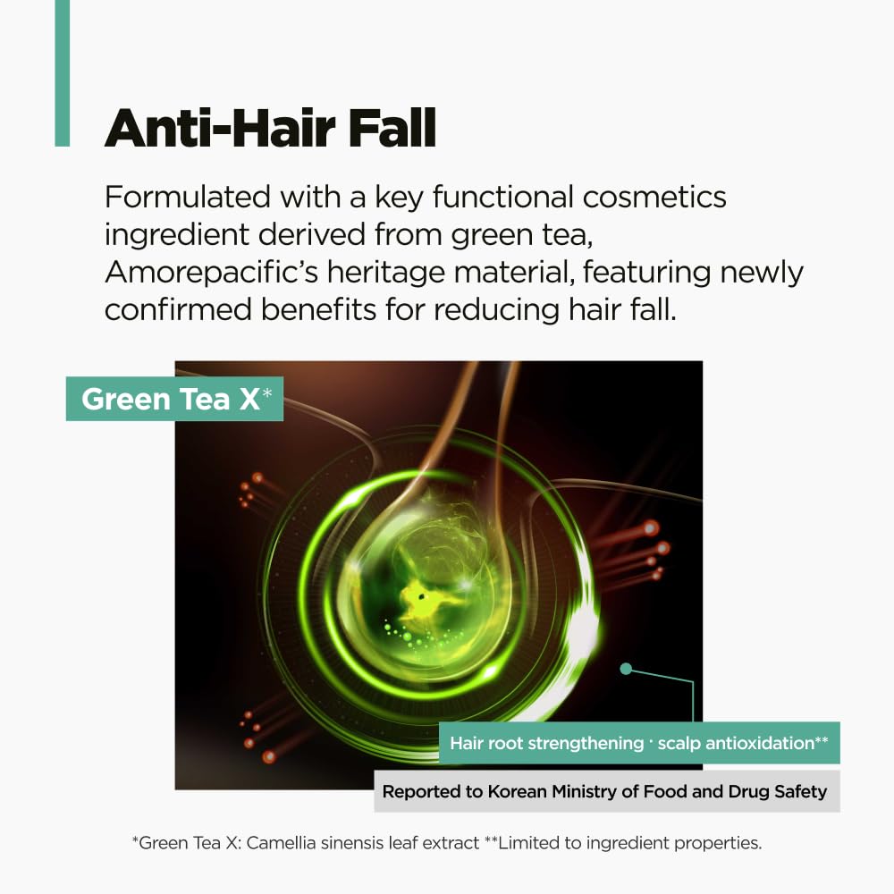 AMOS PROFESSIONAL Green Tea Active Shampoo – Anti-Aging for Fine, Thinning Hair | Scalp Protection & Volumizing, 16.9 oz
