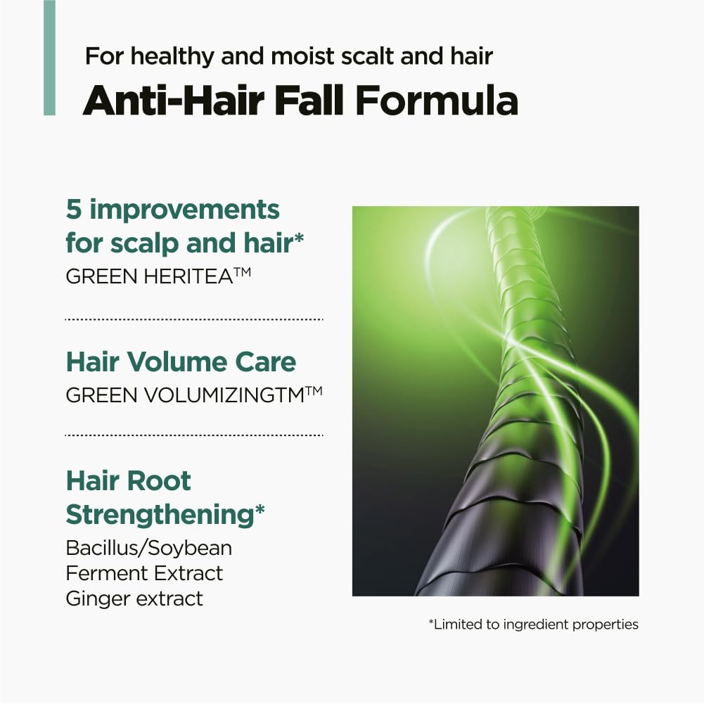 AMOS PROFESSIONAL Green Tea Shampoo Refresh for Thinning Hair | Korean No.1 Salon Brand for Oily Scalp, Deep Cleanse & Volume – 16.9 fl oz