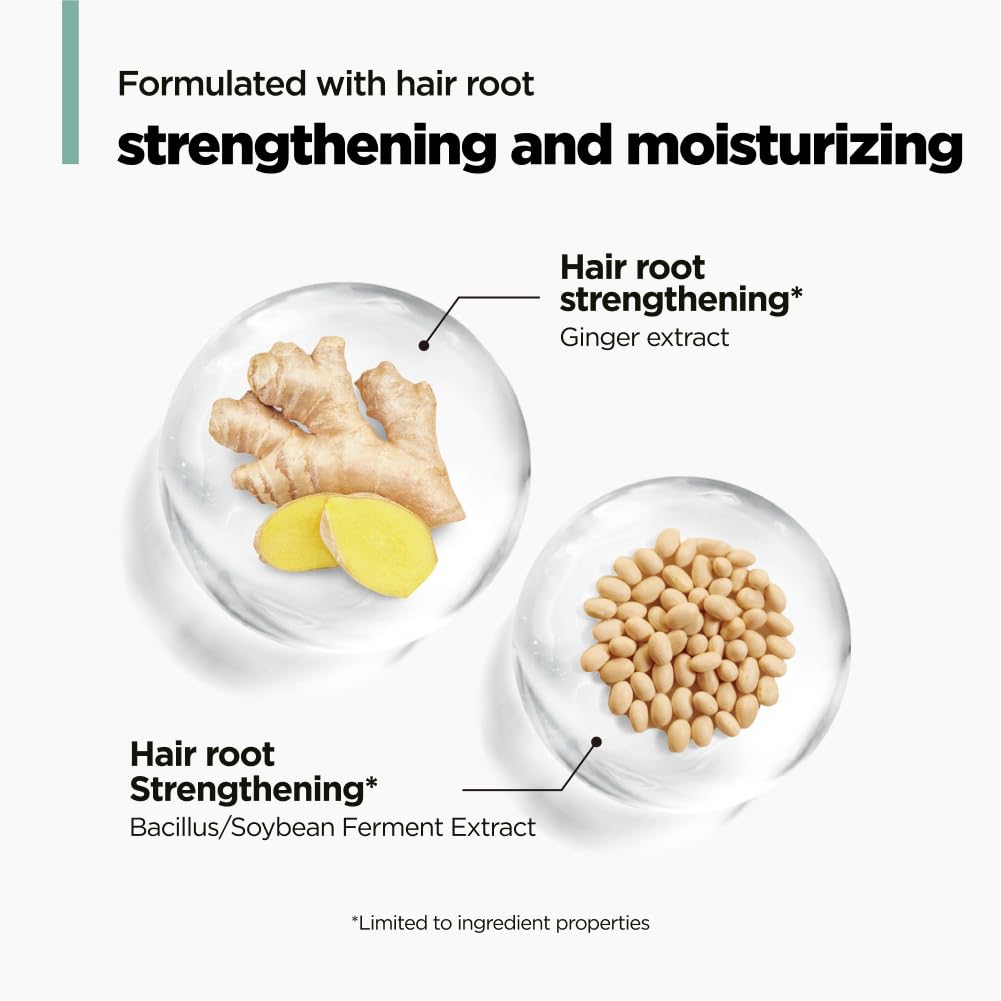 AMOS PROFESSIONAL Green Tea Shampoo Refresh for Thinning Hair | Korean No.1 Salon Brand for Oily Scalp, Deep Cleanse & Volume – 16.9 fl oz