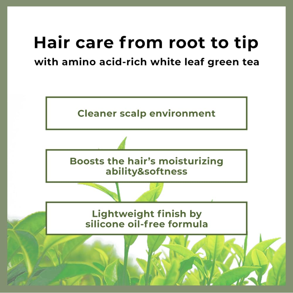 AMOS PROFESSIONAL Korean Green Tea Nourishing Hair Mask 8.45 oz | Deep Conditioning for Moisture