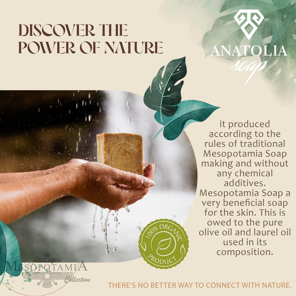Aleppo Soap 2-Pack | Anatolia Soap – 100% Olive Oil Handmade Castile Soap, 14 oz Total